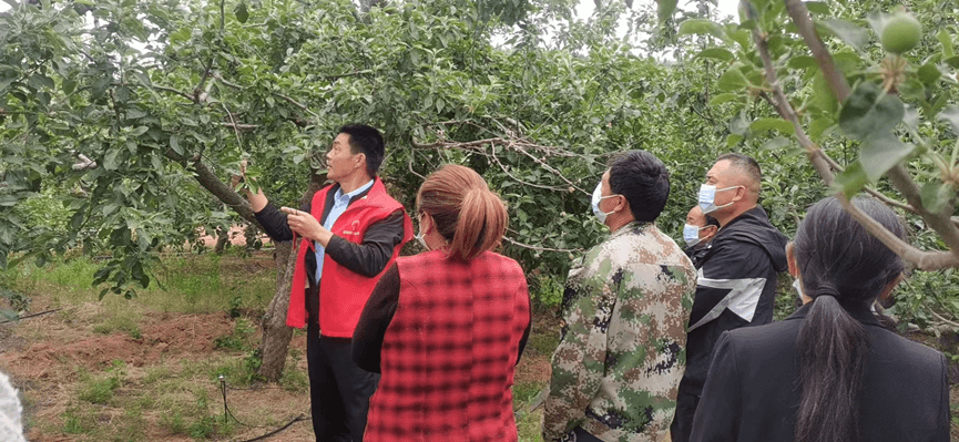 沂南县马牧池乡：新立村果园讲堂开讲了